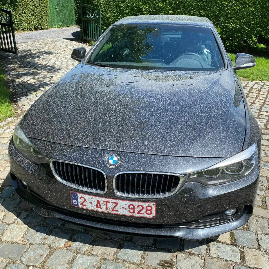 The carwellness